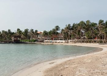 Playas de Isla Mujeres están libres de sargazo