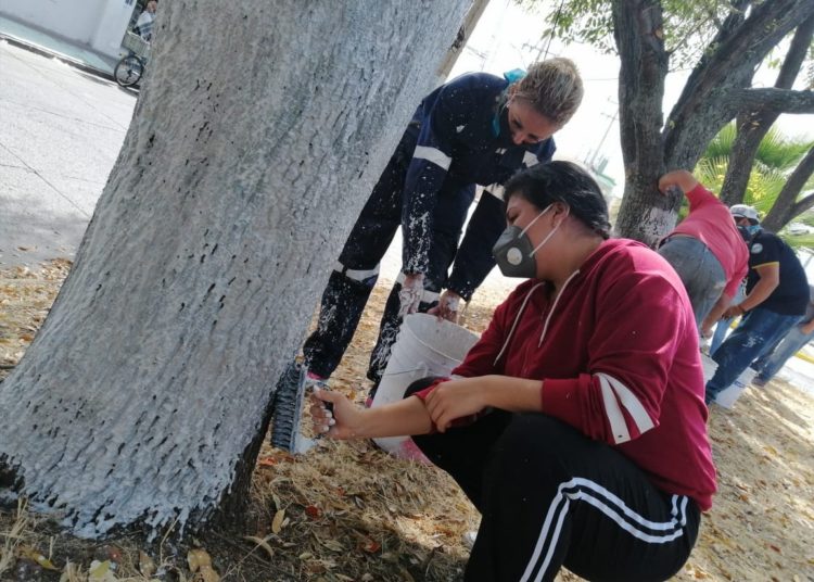 Familias disfrutarán de más espacios públicos en Zamora