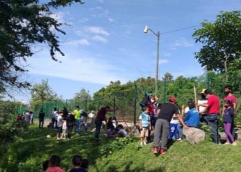 Niños ayudan a reforestar ribera del Río Cuautla