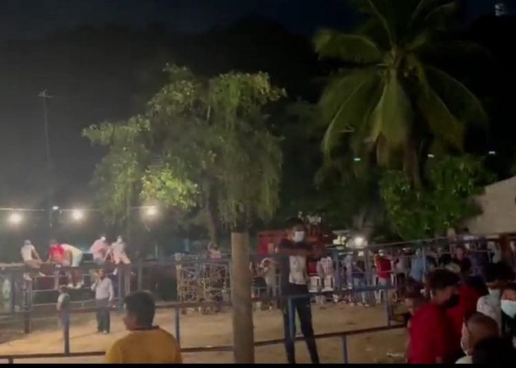 Dispersan fiesta jaripeo con 500 jóvenes en Acapulco