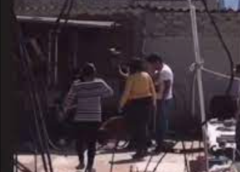 Vinculan a proceso a asesinos del perro Silver en Tlalnepantla