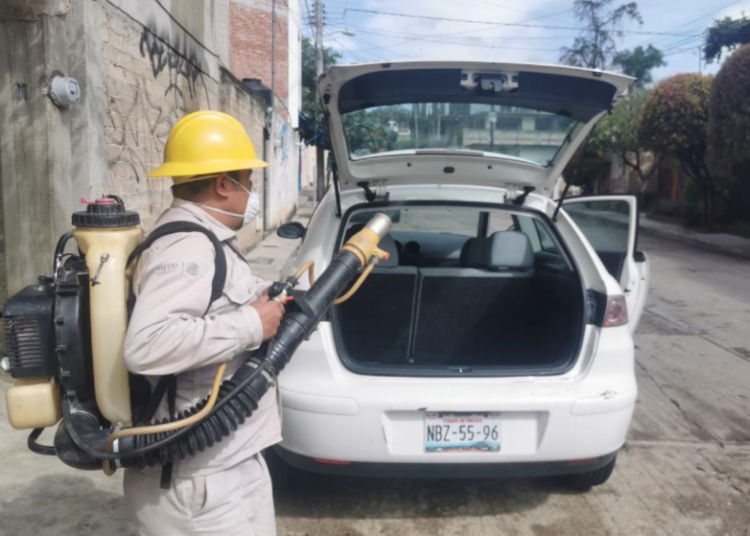 Municipios de Oaxaca, ocho años sin paludismo