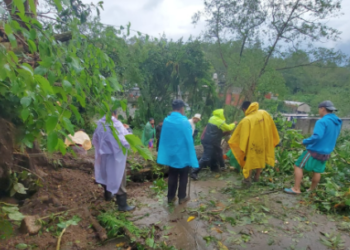 Cortes de energía en 28 municipios de Puebla por Huracán Grace