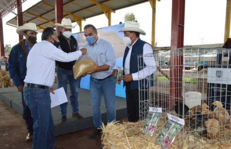 Entregan seguro agrícola catastrófico a productores rurales del municipio de Durango