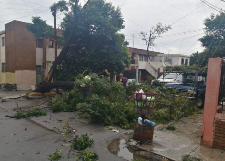 Atiende Municipio reportes ciudadanos luego de lluvias