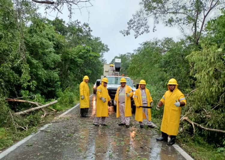 Realizan labores de limpieza en Quintana Roo tras paso de “Grace”
