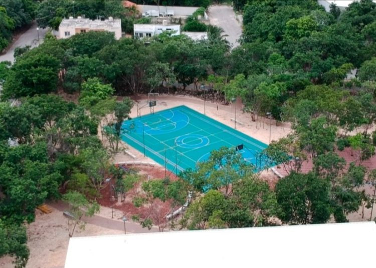 Municipio de Solidaridad hace historia con participación de Omar Echeverría,en Juegos Paralímpicos de Tokio 2020