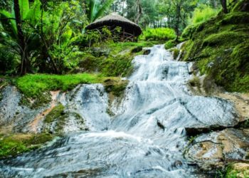 Realiza ecoturismo en los bosques y montañas de la Sierra del Tigre en Jalisco