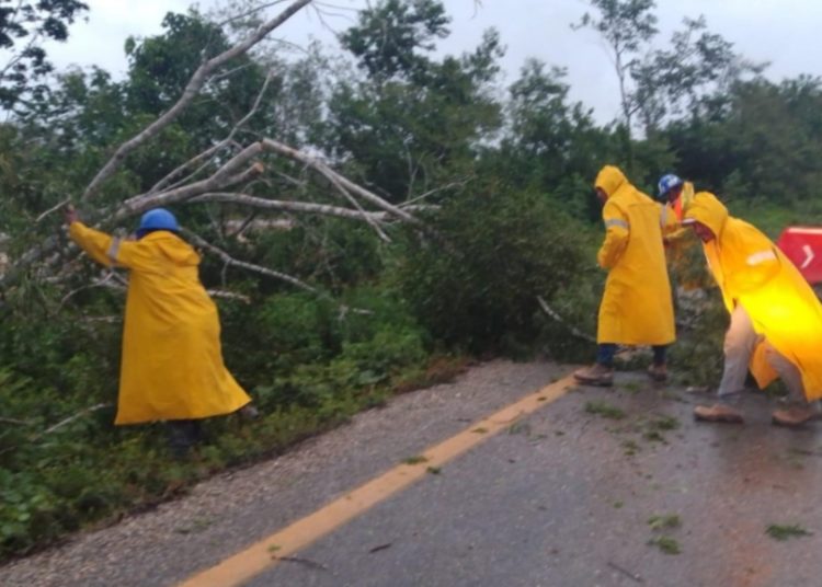 Sin afectaciones, carreteras de la Península de Yucatán por paso de Grace