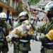 Rescatan a perrita de entre los escombros del cerro del Chiquihuite