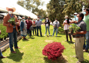 Edoméx apoya a productores para aumentar productividad de sus productos