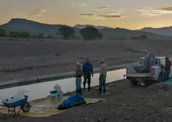Crían peces en zonas semiáridas de México