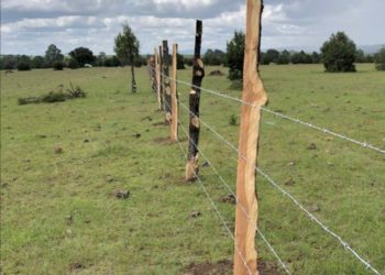 Apoya municipio de Durango a ganaderos del sector social