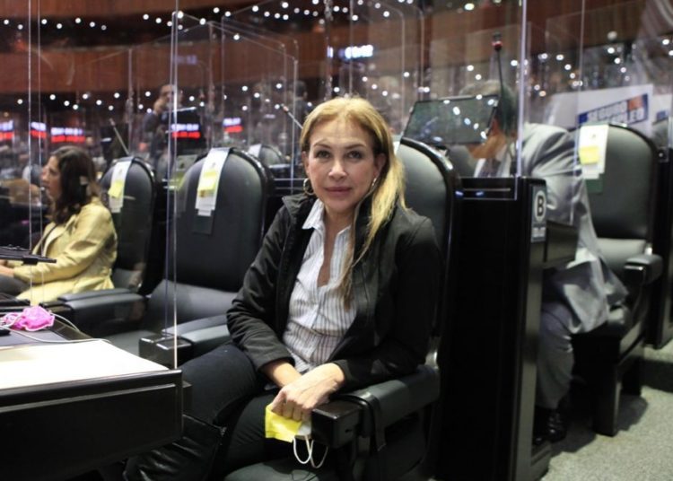 Diputada cuestiona la forma en que se designó al escultor Pedro Reyes para realizar la obra “Tlali”.