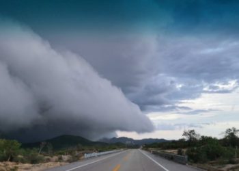Atienden afectaciones en Los Cabos tras paso de Olaf