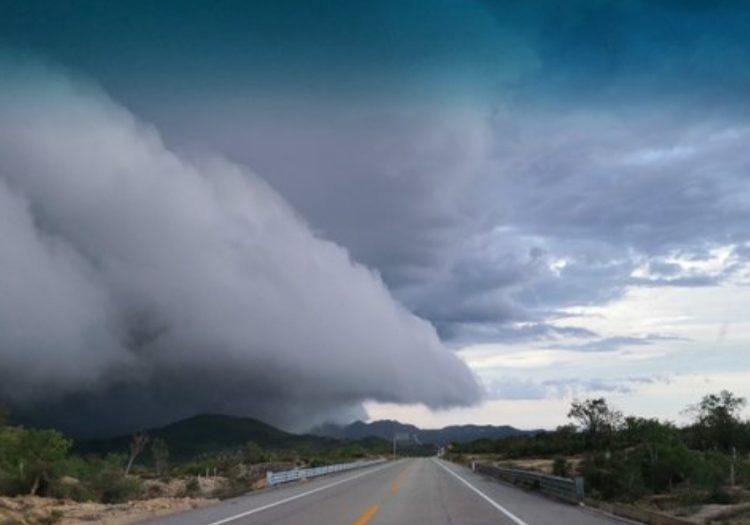 Atienden afectaciones en Los Cabos tras paso de Olaf
