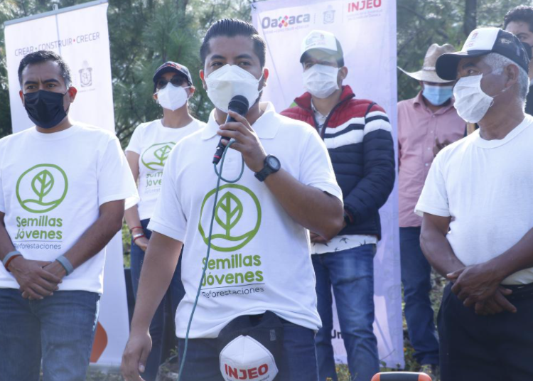Reforestan cabecera municipal de Miahuatlán de Porfirio Díaz, Oaxaca