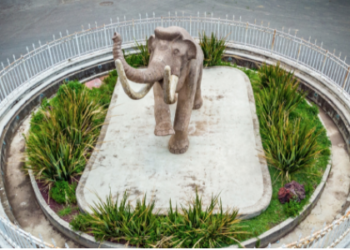 Mamut, ícono arqueológico de Atenco