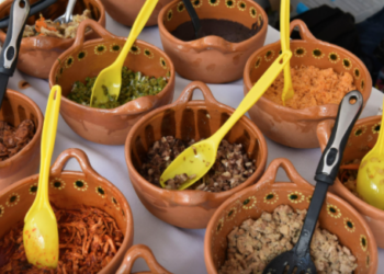 Primer Festival del Taco y la Salsa reunirá a más de 40 de expositores en Xalapa