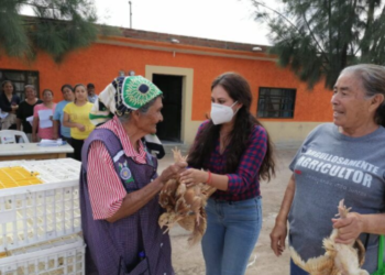 Fomentan gobierno y municipio de Durango reactivación económica rural