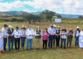 Buscan consolidar al campo mexiquense