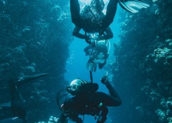 Apuesta Gustavo Cárdenas Moreno por crear conciencia ambiental a través del buceo