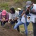 Reportan 8 hallazgos de restos óseos en municipio de Yecapixtla