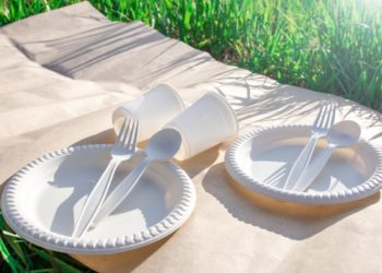 ANIPAC solicita prórroga para prohibición de plásticos en Sinaloa