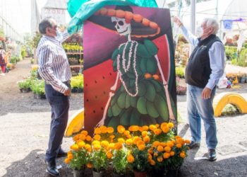 Arranca Agricultura temporada de flor de cempasúchil en Ciudad de México