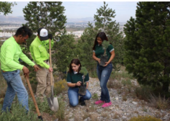 Por cumplirse la meta de un millón de árboles plantados en Saltillo