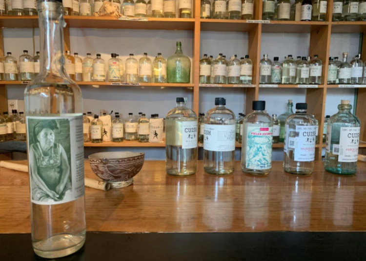 Mezcal, entrañable tradición en la que también destacan mujeres oaxaqueñas