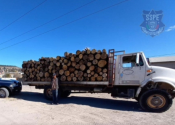 Aseguran camión con madera clandestina en municipio de Bocoyna