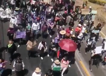 Transcurre sin incidentes mayores Día Internacional de la Eliminación de la Violencia contra la Mujer