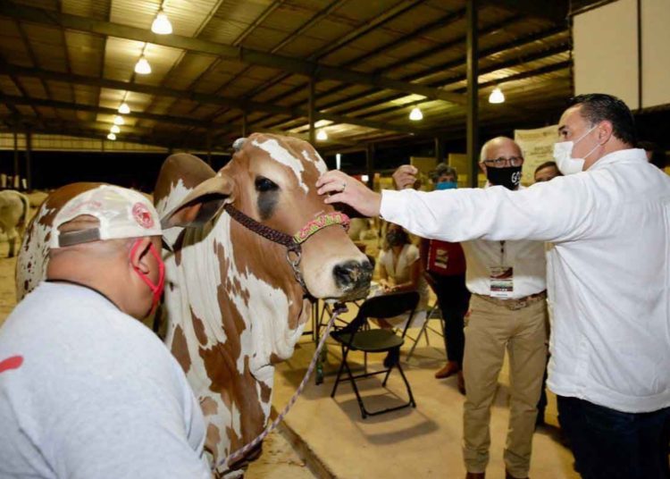Mérida busca dar impulso a actividades agropecuarias