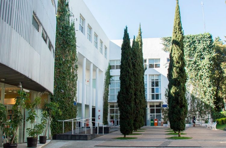 Alumnos y profesores del CIDE alzan la voz tras despidos