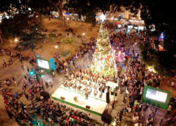 Enciende Oaxaca árbol monumental de la Navidad