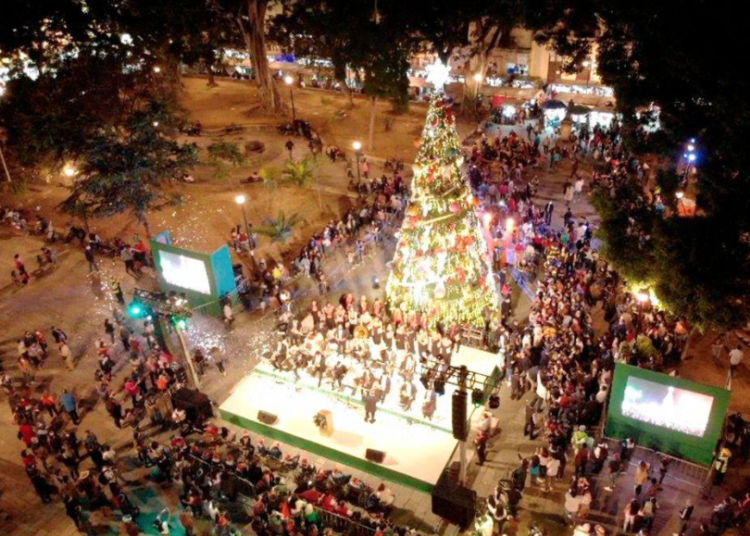 Enciende Oaxaca árbol monumental de la Navidad