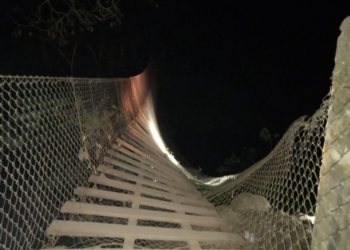 Se desploma puente colgante en la Costa de Oaxaca