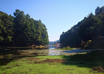 Destinos para disfrutar en Navidad