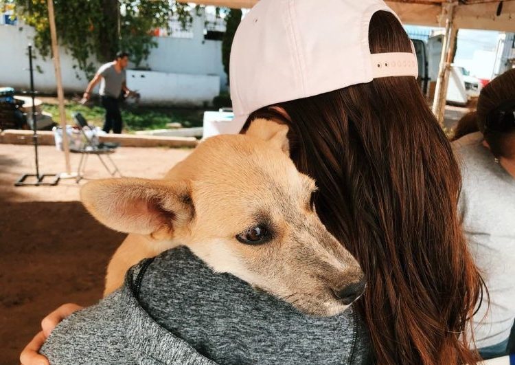 Legisladores del PAN en el país respaldan al INE