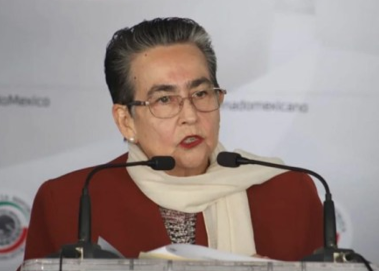 Senadora de Morena cuestiona comisión que investiga abuso de poder en Veracruz