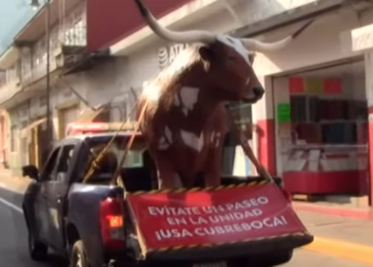 No te hagas buey y usa cubrebocas, recomiendan en Orizaba