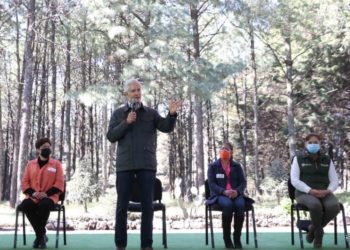 Pone en marcha Alfredo Del Mazo campaña de acopio de árboles de navidad y entrega apoyos forestales por más de 6 mdp