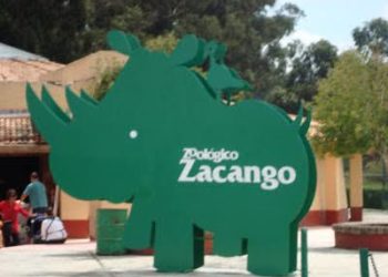 Reabren aviario de Parque Ecológico Zacango