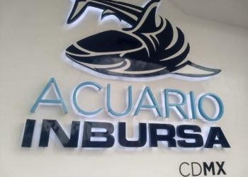 Investigan muerte de bióloga en Acuario Inbursa