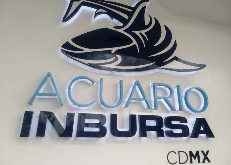 Investigan muerte de bióloga en Acuario Inbursa
