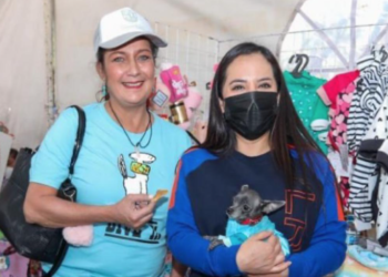 Las facultades de diputados están garantizadas por la Constitución: Gutiérrez Luna