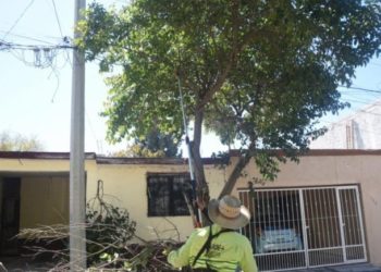 ASF revela cochinero del gobierno federal en obra pública y programas clientelares: Marko Cortés