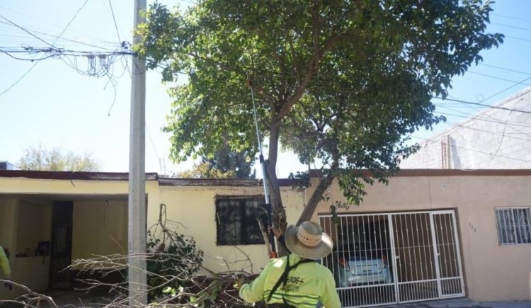 ASF revela cochinero del gobierno federal en obra pública y programas clientelares: Marko Cortés