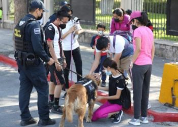 Impartirá Saltillo curso de Adiestramiento Civil Canino